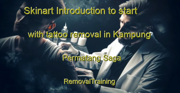 Skinart Introduction to start with tattoo removal in Kampung Permatang Saga | RemovalTraining | RemovalClasses | SkinartTraining-Malaysia
