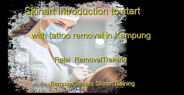 Skinart Introduction to start with tattoo removal in Kampung Relai | #RemovalTraining #RemovalClasses #SkinartTraining-Malaysia