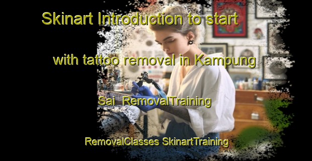 Skinart Introduction to start with tattoo removal in Kampung Sai | #RemovalTraining #RemovalClasses #SkinartTraining-Malaysia