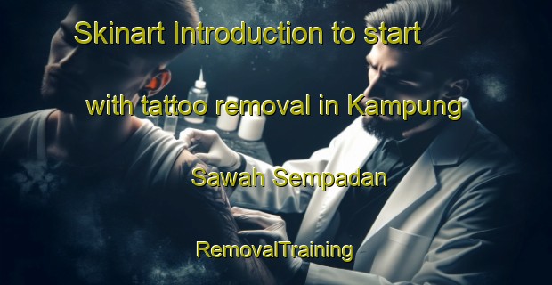 Skinart Introduction to start with tattoo removal in Kampung Sawah Sempadan | RemovalTraining | RemovalClasses | SkinartTraining-Malaysia