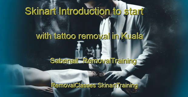 Skinart Introduction to start with tattoo removal in Kuala Sabenait | #RemovalTraining #RemovalClasses #SkinartTraining-Malaysia