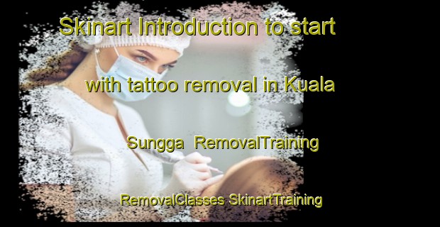 Skinart Introduction to start with tattoo removal in Kuala Sungga | #RemovalTraining #RemovalClasses #SkinartTraining-Malaysia