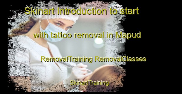 Skinart Introduction to start with tattoo removal in Mapud | #RemovalTraining #RemovalClasses #SkinartTraining-Malaysia