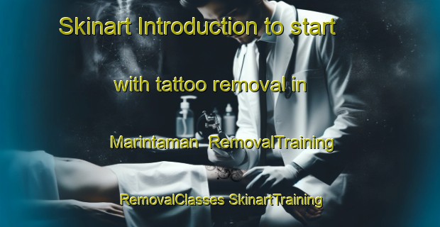 Skinart Introduction to start with tattoo removal in Marintaman | #RemovalTraining #RemovalClasses #SkinartTraining-Malaysia