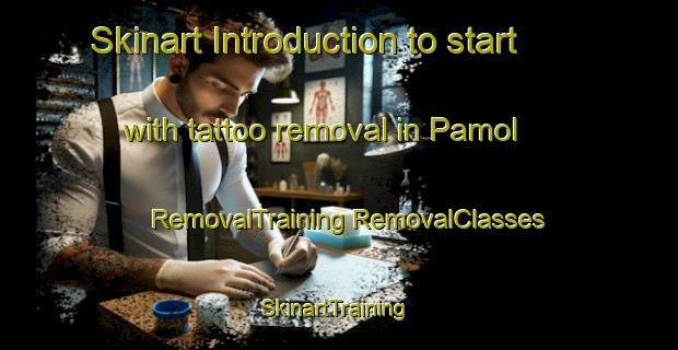 Skinart Introduction to start with tattoo removal in Pamol | #RemovalTraining #RemovalClasses #SkinartTraining-Malaysia