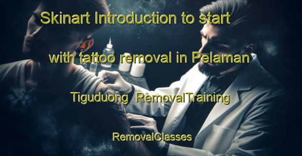 Skinart Introduction to start with tattoo removal in Pelaman Tiguduong | RemovalTraining | RemovalClasses | SkinartTraining-Malaysia