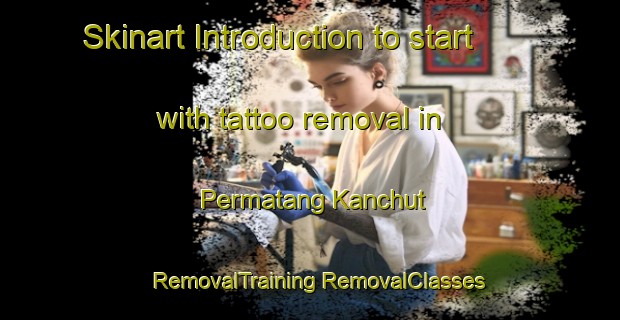 Skinart Introduction to start with tattoo removal in Permatang Kanchut | #RemovalTraining #RemovalClasses #SkinartTraining-Malaysia