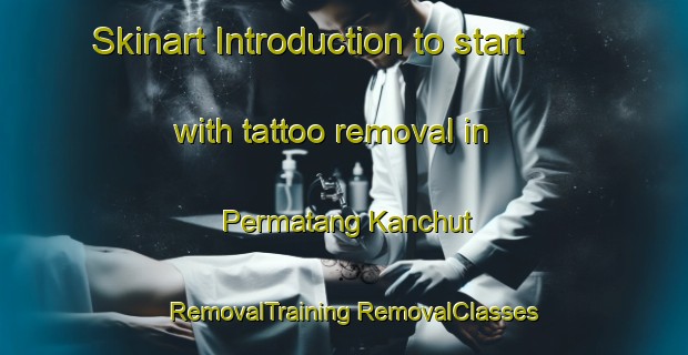 Skinart Introduction to start with tattoo removal in Permatang Kanchut | #RemovalTraining #RemovalClasses #SkinartTraining-Malaysia