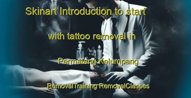 Skinart Introduction to start with tattoo removal in Permatang Kelumpang | #RemovalTraining #RemovalClasses #SkinartTraining-Malaysia