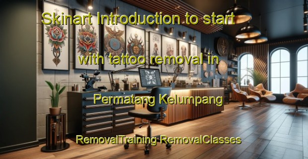 Skinart Introduction to start with tattoo removal in Permatang Kelumpang | #RemovalTraining #RemovalClasses #SkinartTraining-Malaysia