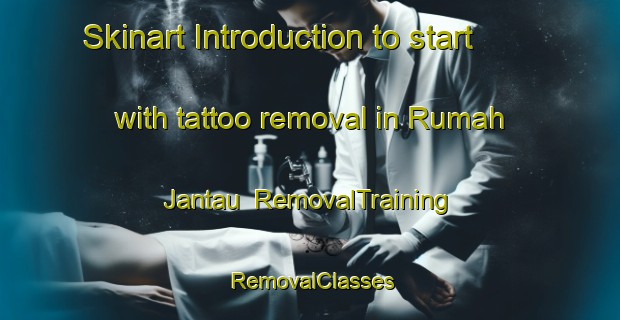 Skinart Introduction to start with tattoo removal in Rumah Jantau | RemovalTraining | RemovalClasses | SkinartTraining-Malaysia
