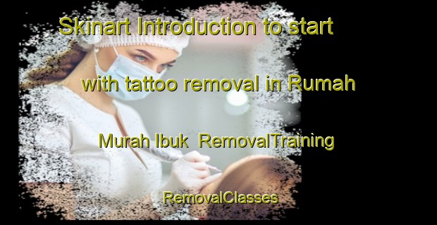 Skinart Introduction to start with tattoo removal in Rumah Murah Ibuk | RemovalTraining | RemovalClasses | SkinartTraining-Malaysia