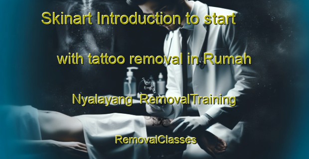 Skinart Introduction to start with tattoo removal in Rumah Nyalayang | RemovalTraining | RemovalClasses | SkinartTraining-Malaysia