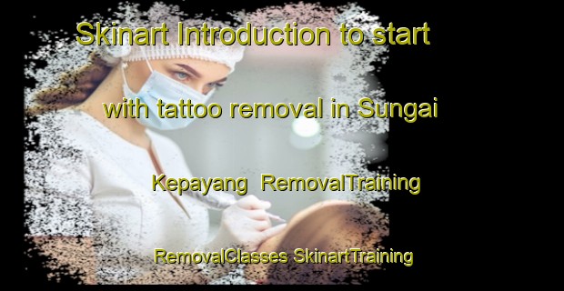 Skinart Introduction to start with tattoo removal in Sungai Kepayang | #RemovalTraining #RemovalClasses #SkinartTraining-Malaysia