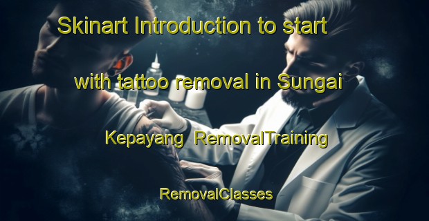 Skinart Introduction to start with tattoo removal in Sungai Kepayang | RemovalTraining | RemovalClasses | SkinartTraining-Malaysia