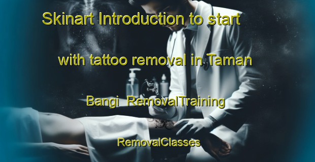 Skinart Introduction to start with tattoo removal in Taman Bangi | RemovalTraining | RemovalClasses | SkinartTraining-Malaysia
