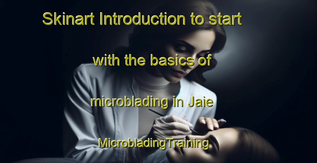 Skinart Introduction to start with the basics of microblading in Jaie | MicrobladingTraining | MicrobladingClasses | SkinartTraining-Malaysia