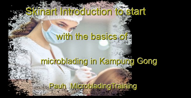 Skinart Introduction to start with the basics of microblading in Kampung Gong Pauh | MicrobladingTraining | MicrobladingClasses | SkinartTraining-Malaysia
