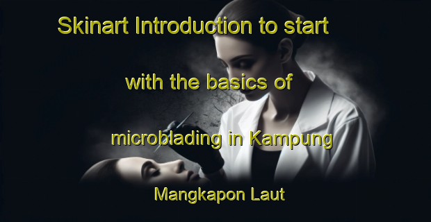 Skinart Introduction to start with the basics of microblading in Kampung Mangkapon Laut | MicrobladingTraining | MicrobladingClasses | SkinartTraining-Malaysia