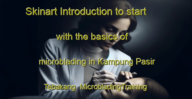 Skinart Introduction to start with the basics of microblading in Kampung Pasir Tebakang | MicrobladingTraining | MicrobladingClasses | SkinartTraining-Malaysia