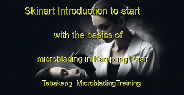 Skinart Introduction to start with the basics of microblading in Kampung Pasir Tebakang | MicrobladingTraining | MicrobladingClasses | SkinartTraining-Malaysia