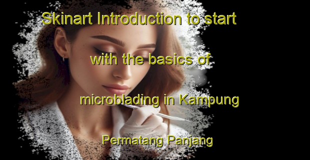 Skinart Introduction to start with the basics of microblading in Kampung Permatang Panjang | MicrobladingTraining | MicrobladingClasses | SkinartTraining-Malaysia