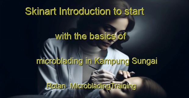 Skinart Introduction to start with the basics of microblading in Kampung Sungai Rotan | MicrobladingTraining | MicrobladingClasses | SkinartTraining-Malaysia