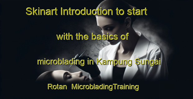 Skinart Introduction to start with the basics of microblading in Kampung Sungai Rotan | MicrobladingTraining | MicrobladingClasses | SkinartTraining-Malaysia