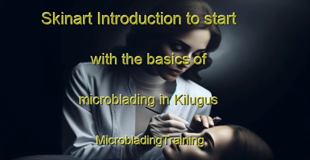 Skinart Introduction to start with the basics of microblading in Kilugus | MicrobladingTraining | MicrobladingClasses | SkinartTraining-Malaysia