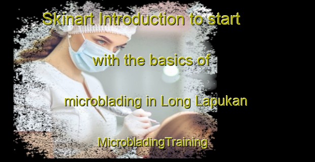 Skinart Introduction to start with the basics of microblading in Long Lapukan | MicrobladingTraining | MicrobladingClasses | SkinartTraining-Malaysia