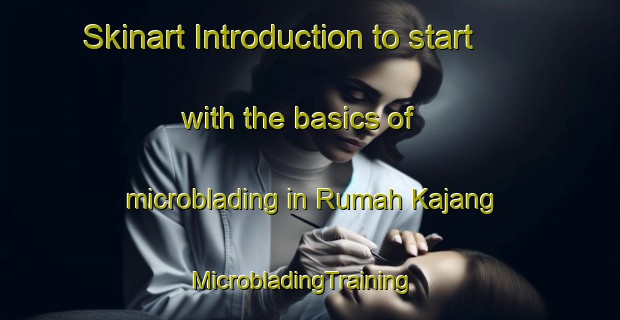 Skinart Introduction to start with the basics of microblading in Rumah Kajang | MicrobladingTraining | MicrobladingClasses | SkinartTraining-Malaysia