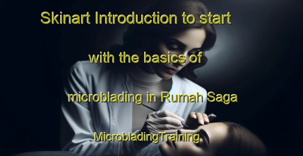 Skinart Introduction to start with the basics of microblading in Rumah Saga | MicrobladingTraining | MicrobladingClasses | SkinartTraining-Malaysia