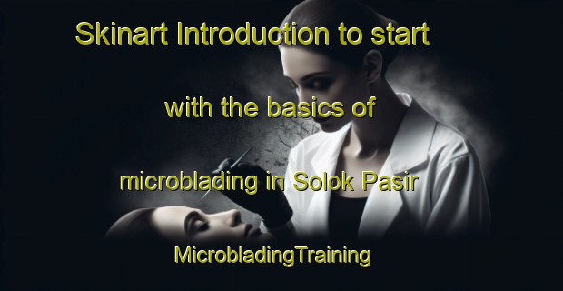 Skinart Introduction to start with the basics of microblading in Solok Pasir | MicrobladingTraining | MicrobladingClasses | SkinartTraining-Malaysia