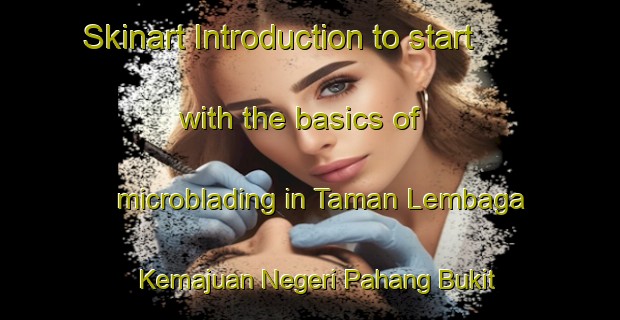 Skinart Introduction to start with the basics of microblading in Taman Lembaga Kemajuan Negeri Pahang Bukit Setongkol | MicrobladingTraining | MicrobladingClasses | SkinartTraining-Malaysia