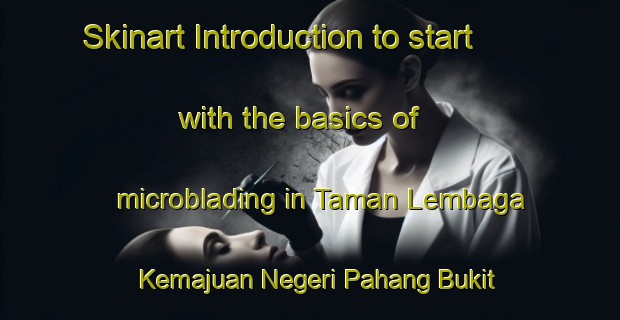Skinart Introduction to start with the basics of microblading in Taman Lembaga Kemajuan Negeri Pahang Bukit Setongkol | MicrobladingTraining | MicrobladingClasses | SkinartTraining-Malaysia