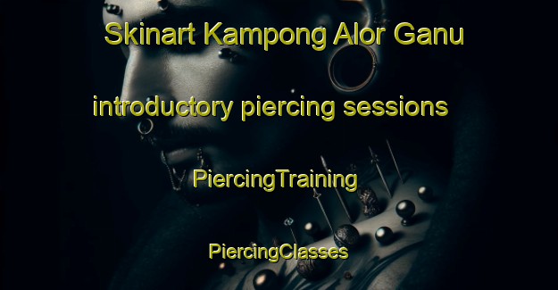 Skinart Kampong Alor Ganu introductory piercing sessions | #PiercingTraining #PiercingClasses #SkinartTraining-Malaysia