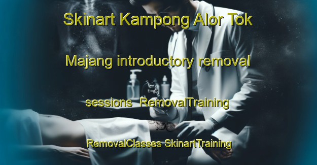 Skinart Kampong Alor Tok Majang introductory removal sessions | #RemovalTraining #RemovalClasses #SkinartTraining-Malaysia