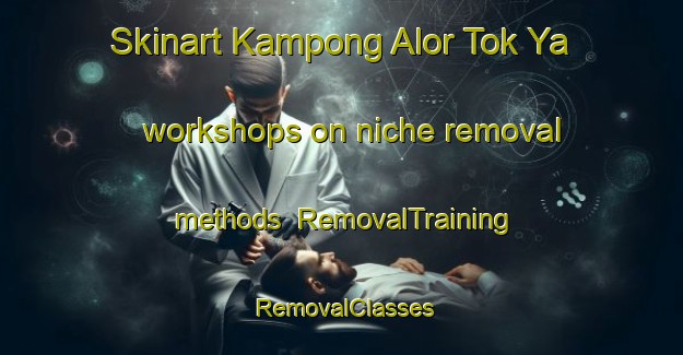 Skinart Kampong Alor Tok Ya workshops on niche removal methods | RemovalTraining | RemovalClasses | SkinartTraining-Malaysia