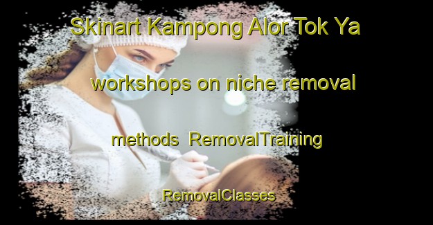 Skinart Kampong Alor Tok Ya workshops on niche removal methods | RemovalTraining | RemovalClasses | SkinartTraining-Malaysia