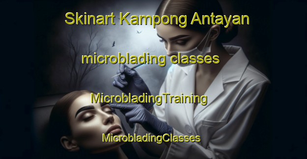 Skinart Kampong Antayan microblading classes | MicrobladingTraining | MicrobladingClasses | SkinartTraining-Malaysia