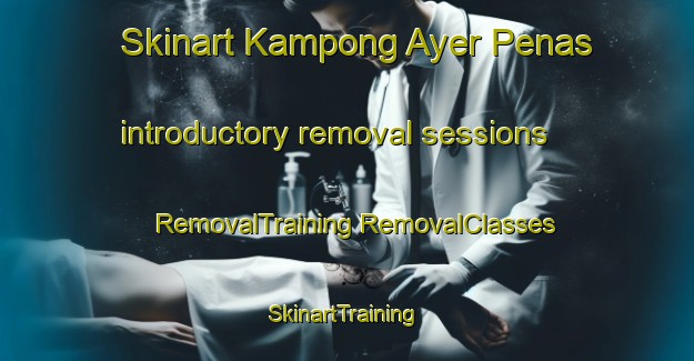 Skinart Kampong Ayer Penas introductory removal sessions | #RemovalTraining #RemovalClasses #SkinartTraining-Malaysia