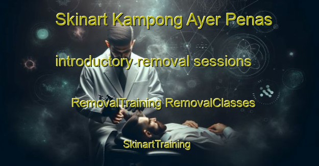 Skinart Kampong Ayer Penas introductory removal sessions | #RemovalTraining #RemovalClasses #SkinartTraining-Malaysia