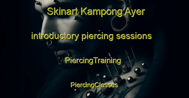 Skinart Kampong Ayer introductory piercing sessions | #PiercingTraining #PiercingClasses #SkinartTraining-Malaysia