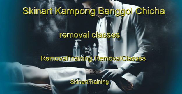 Skinart Kampong Banggol Chicha removal classes | #RemovalTraining #RemovalClasses #SkinartTraining-Malaysia