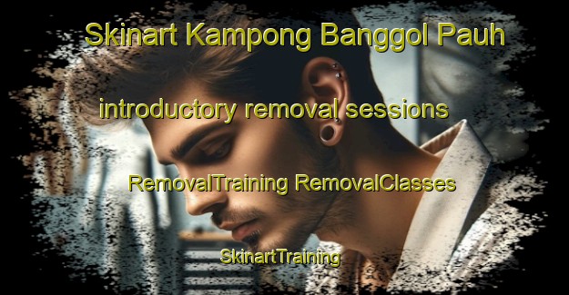 Skinart Kampong Banggol Pauh introductory removal sessions | #RemovalTraining #RemovalClasses #SkinartTraining-Malaysia