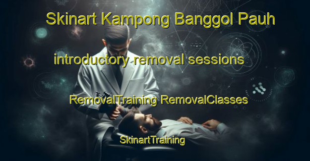 Skinart Kampong Banggol Pauh introductory removal sessions | #RemovalTraining #RemovalClasses #SkinartTraining-Malaysia