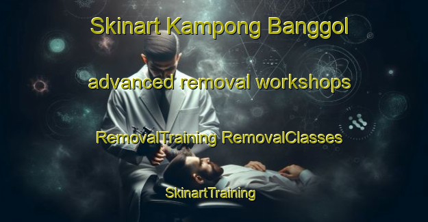 Skinart Kampong Banggol advanced removal workshops | #RemovalTraining #RemovalClasses #SkinartTraining-Malaysia