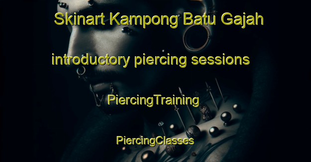 Skinart Kampong Batu Gajah introductory piercing sessions | #PiercingTraining #PiercingClasses #SkinartTraining-Malaysia