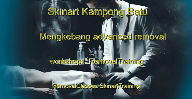 Skinart Kampong Batu Mengkebang advanced removal workshops | #RemovalTraining #RemovalClasses #SkinartTraining-Malaysia