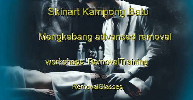 Skinart Kampong Batu Mengkebang advanced removal workshops | RemovalTraining | RemovalClasses | SkinartTraining-Malaysia